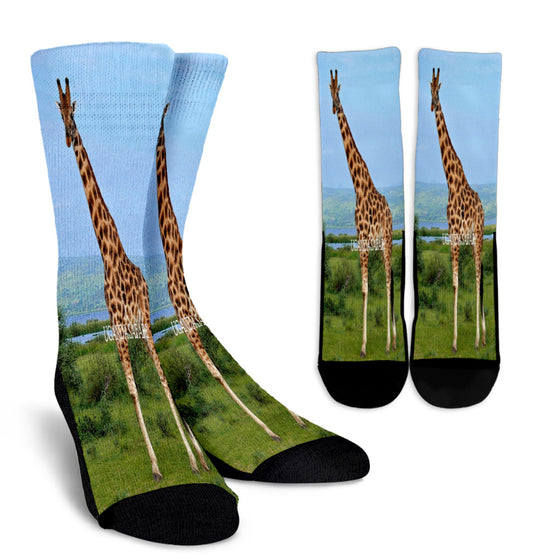 Uganda-Safari | Africa  | Day | Skyline | Socks